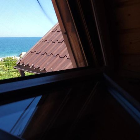 Vila Flavia B&B コンスタンツァ エクステリア 写真