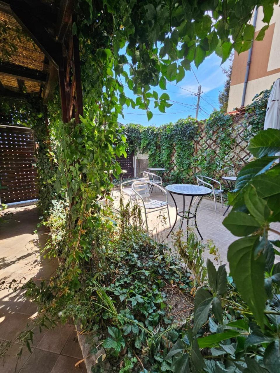 Vila Flavia B&B コンスタンツァ エクステリア 写真